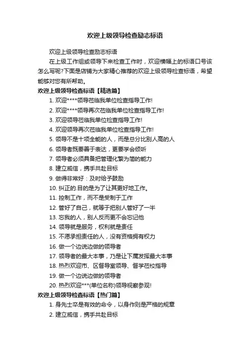 欢迎上级领导检查励志标语