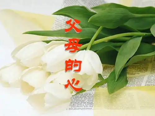 七年级语文父母的心(201909)