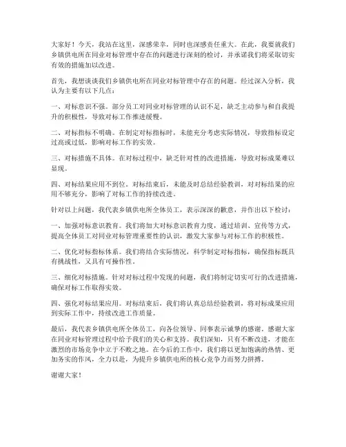 同业对标检讨发言稿范文