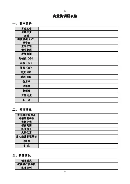 商业街调研表格(050307)