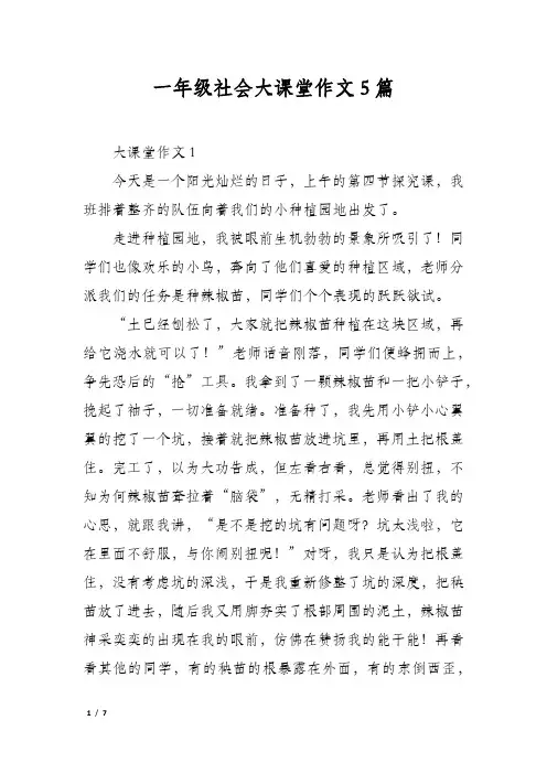 一年级社会大课堂作文5篇