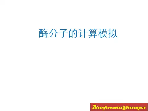 酶工程 非水介质中的酶促反应(5.1)--非水介质中的酶促反应