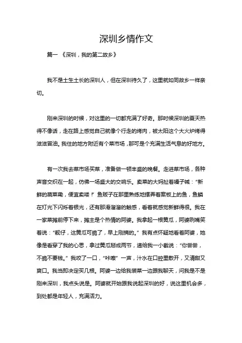 深圳乡情作文
