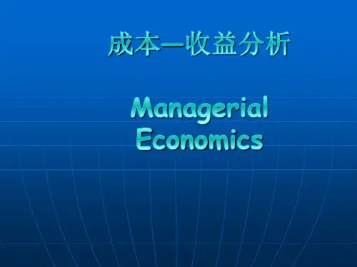成本收益分析