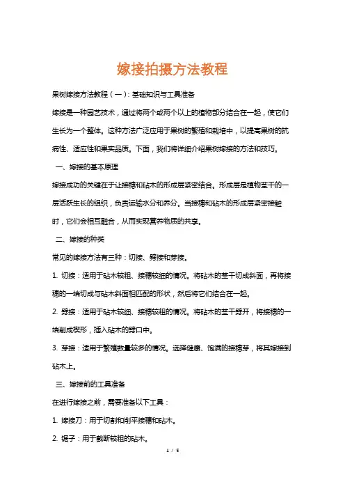 嫁接拍摄方法教程