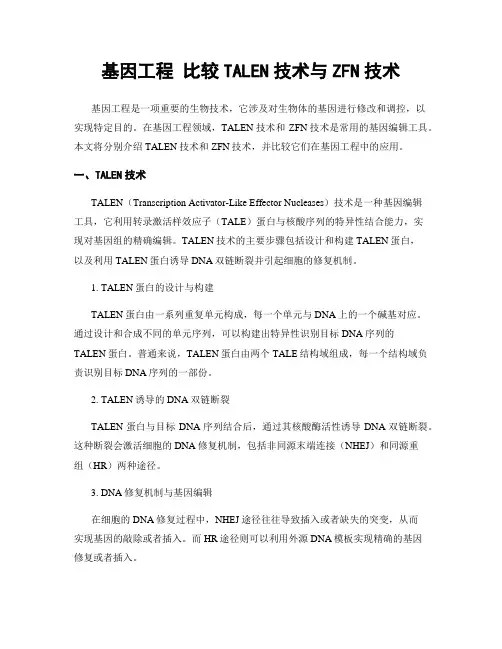 基因工程 比较TALEN技术与ZFN技术