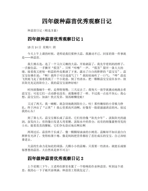 四年级种蒜苗优秀观察日记