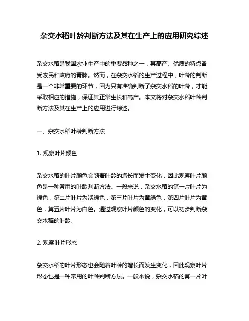 杂交水稻叶龄判断方法及其在生产上的应用研究综述