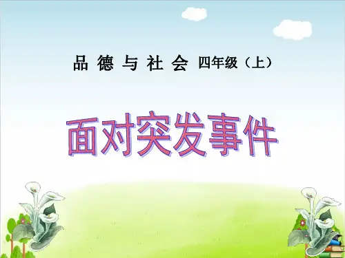 《面对突发事件生活中的突发事件》PPT课件｜鲁人版1