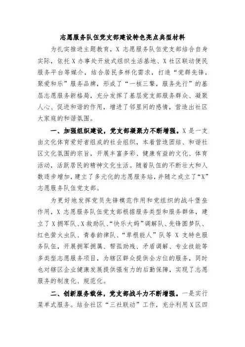 志愿服务队伍党支部建设特色亮点典型材料