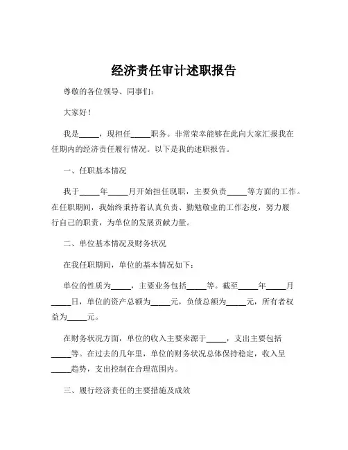 经济责任审计述职报告