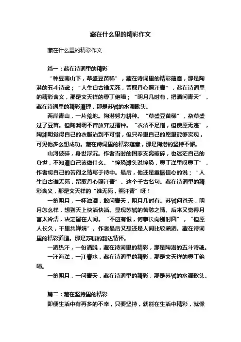 藏在什么里的精彩作文