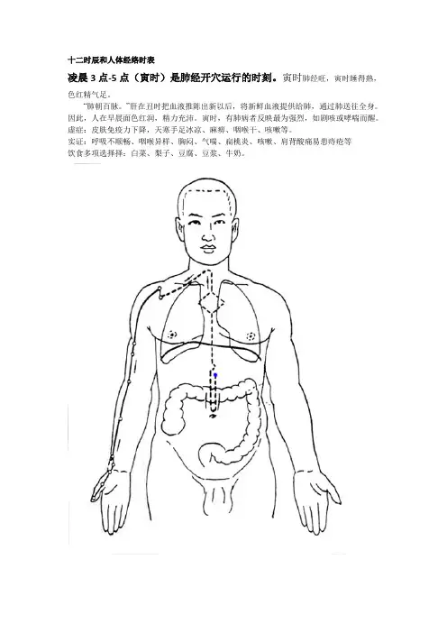 十二时辰和人体经络时表