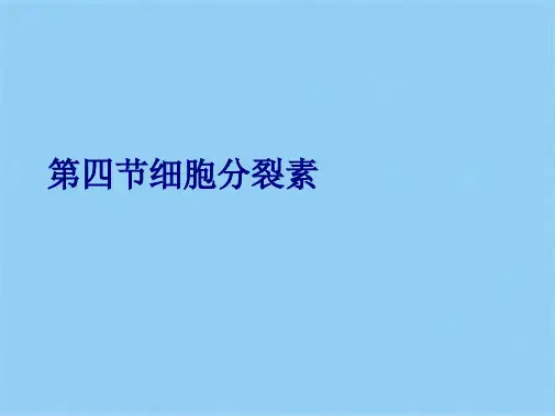 第四节细胞分裂素(共10张PPT)