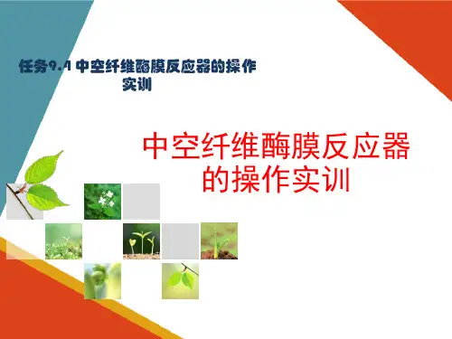 酶反应器的认知与操作