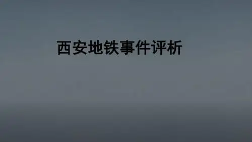 工程伦理学案例分析
