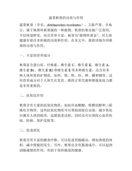 蔬菜秋葵的功效与作用