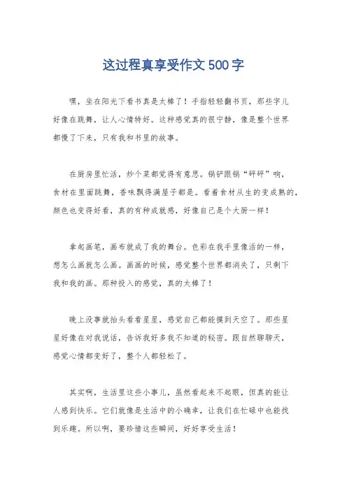 这过程真享受作文500字