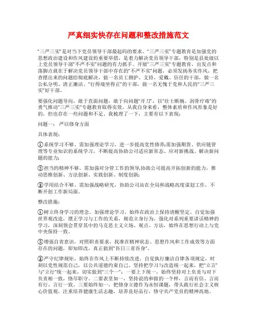 严真细实快存在问题和整改措施范文