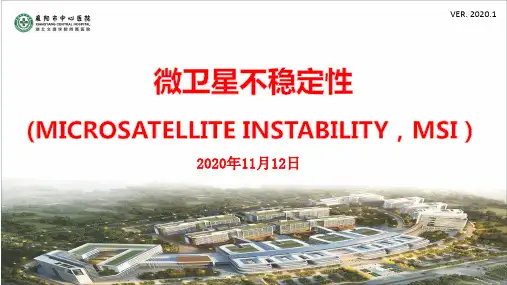 MSI微卫星不稳定