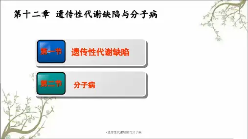 遗传性代谢缺陷与分子病课件