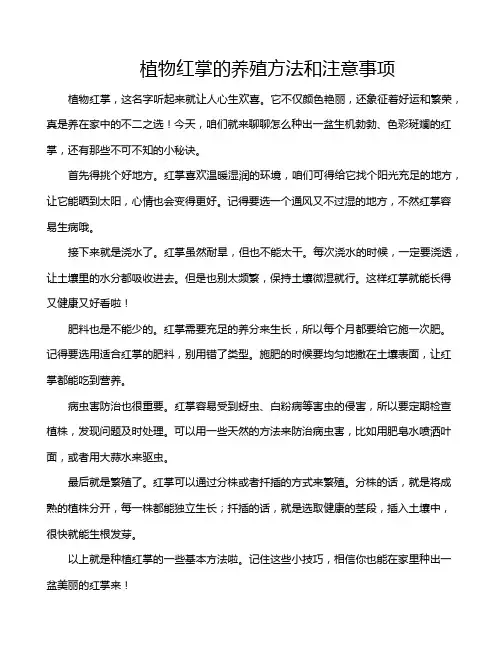 植物红掌的养殖方法和注意事项