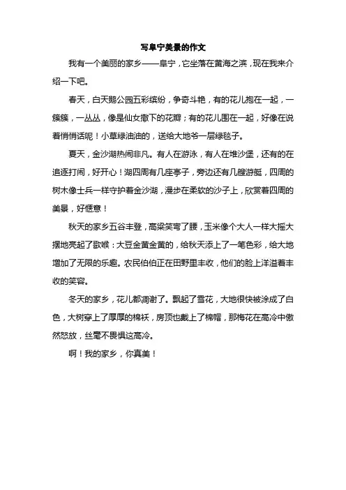 写阜宁美景的作文