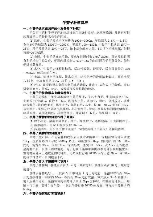 牛蒡子种植栽培