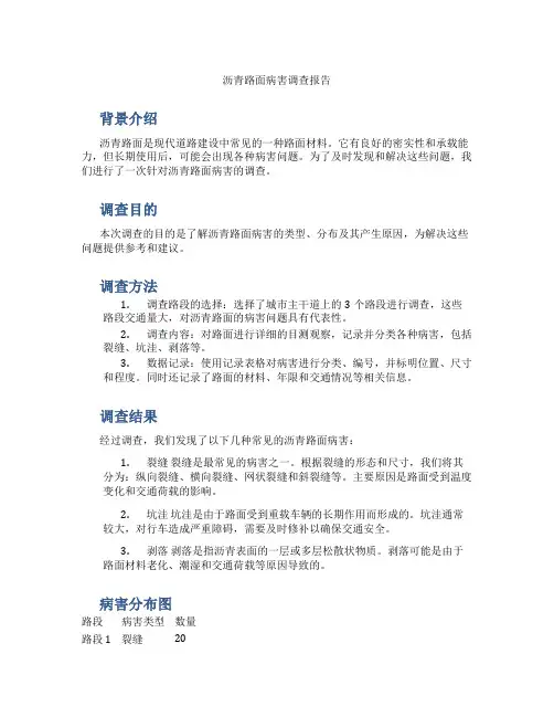 沥青路面病害调查报告