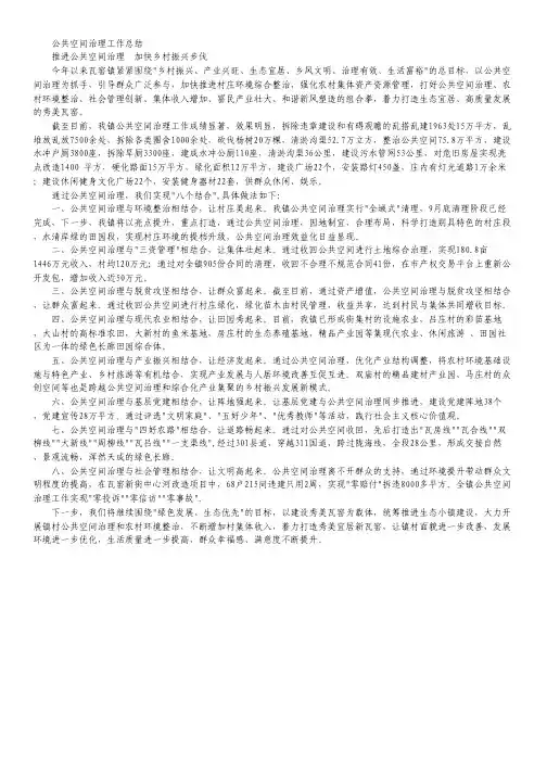 公共空间治理工作总结.pdf