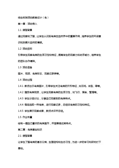 综合实践活动教案设计鸟
