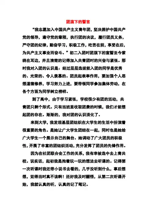 团旗下的誓言