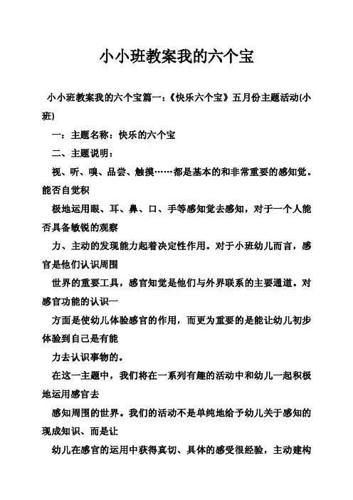 小小班教案我的六个宝