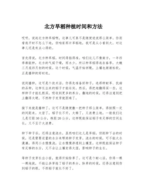 北方旱稻种植时间和方法