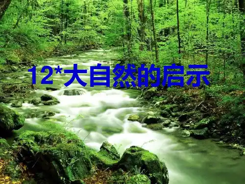 《大自然的启示》PPT课件