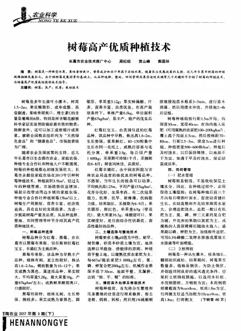 树莓高产优质种植技术