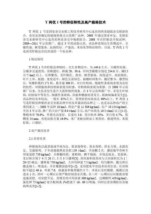 Y两优1号的特征特性及高产栽培技术