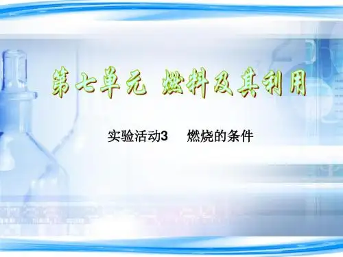 实验活动3  燃烧的条件
