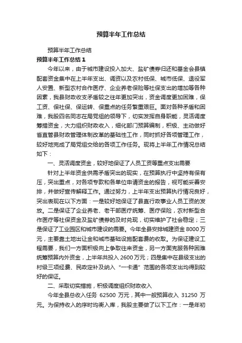 预算半年工作总结