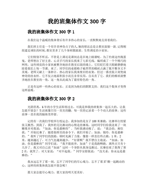 我的班集体作文300字