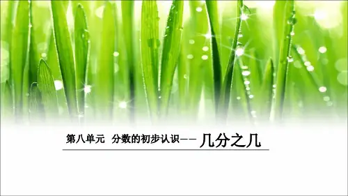 人教版三年级上册数学《几分之几》(课件)