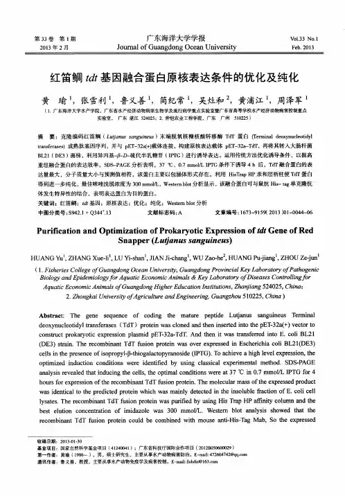 红笛鲷tdt基因融合蛋白原核表达条件的优化及纯化