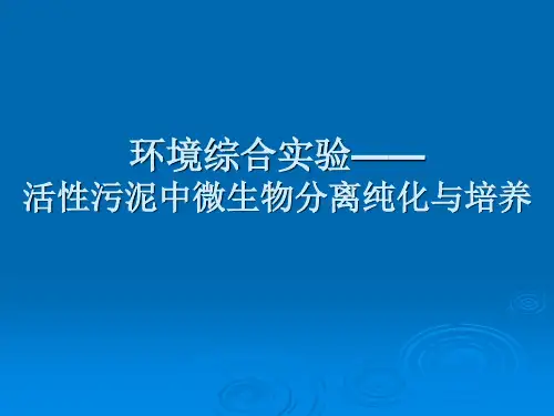 环境综合实验课件——活性污泥中微生物分离纯化与培养