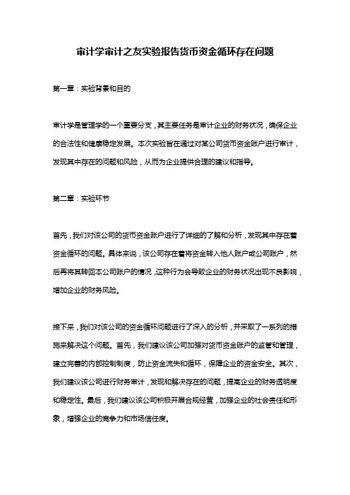 审计学审计之友实验报告货币资金循环存在问题