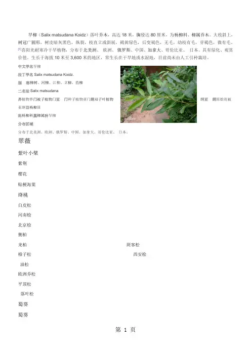 校园绿化树木图片及简介10页word文档