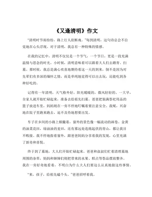 《又逢清明》作文