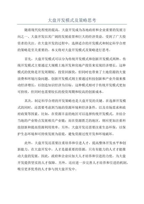 大盘开发模式及策略思考