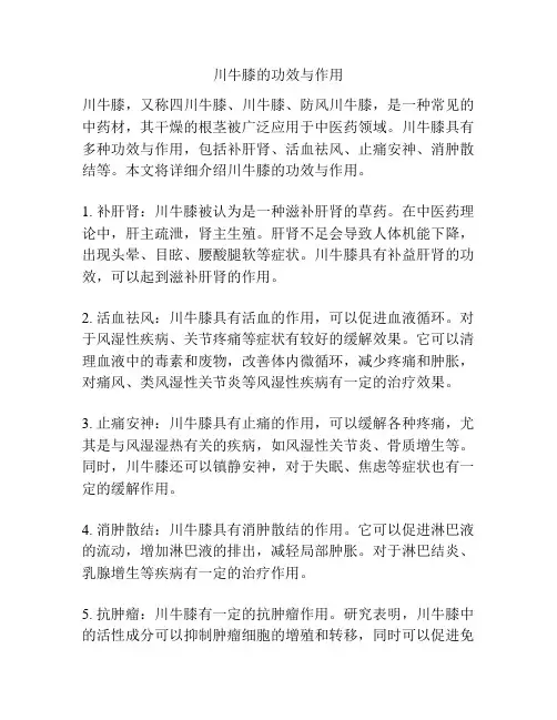川牛膝的功效与作用