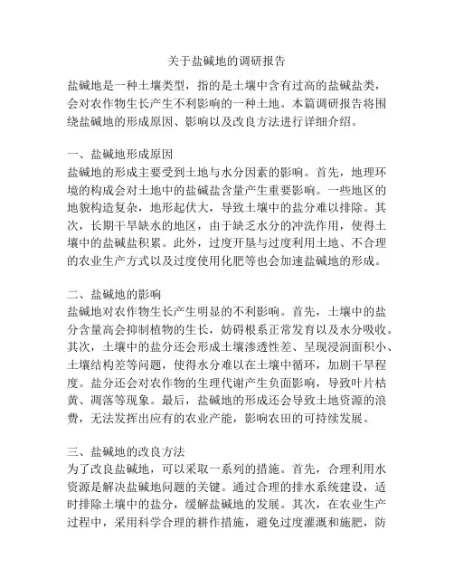 关于盐碱地的调研报告