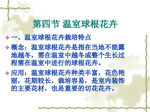 常见温室球根花卉
